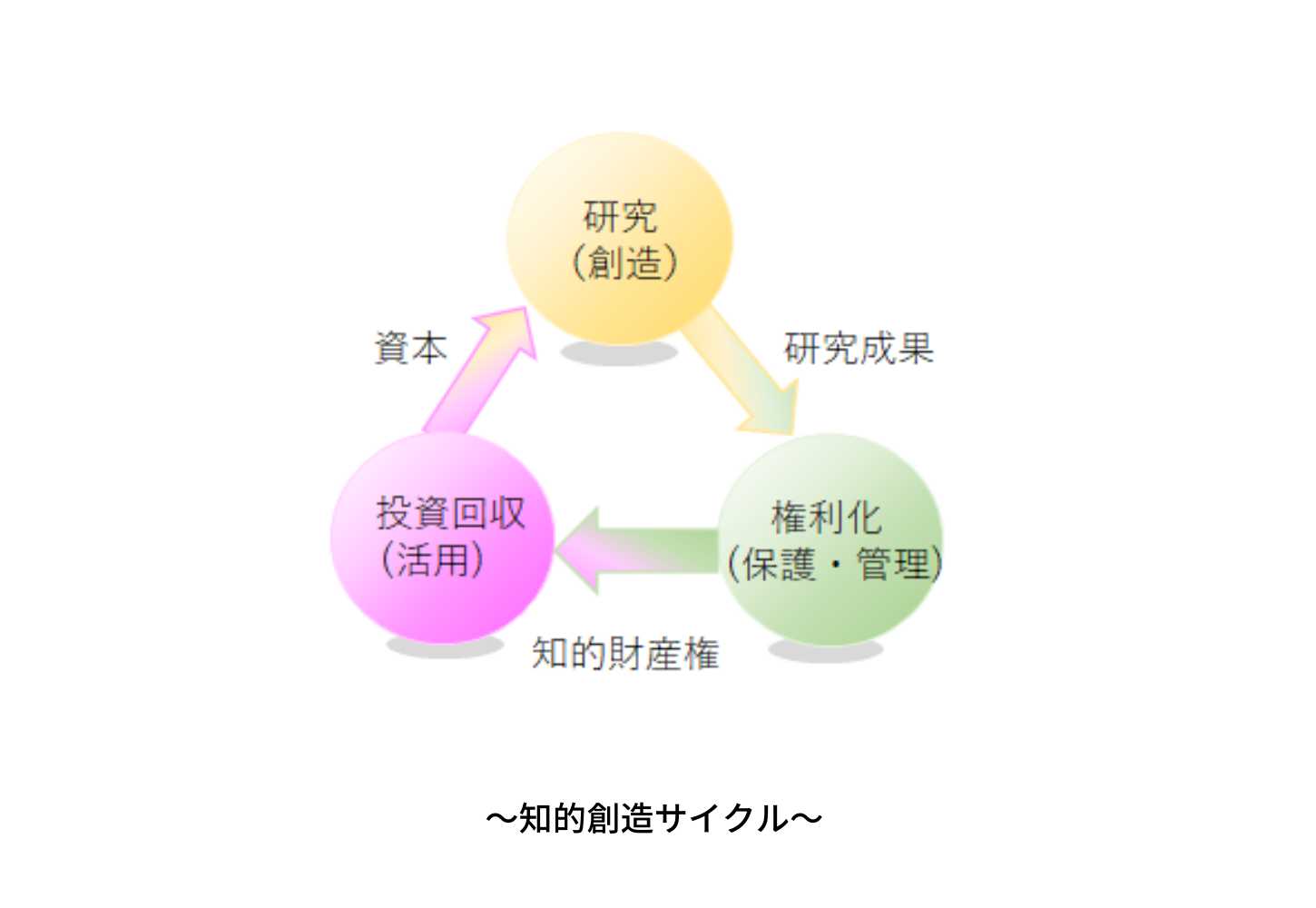 基本理念図