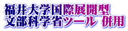 福井大学国際展開型 文部科学省ツール 併用