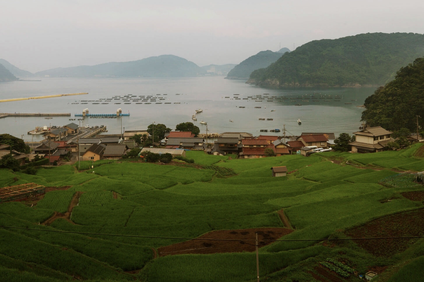 高浜町